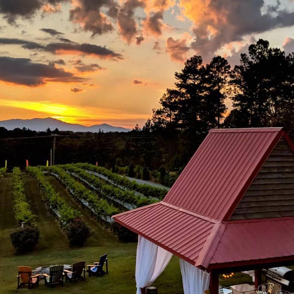 Image of Overmountain Vineyard