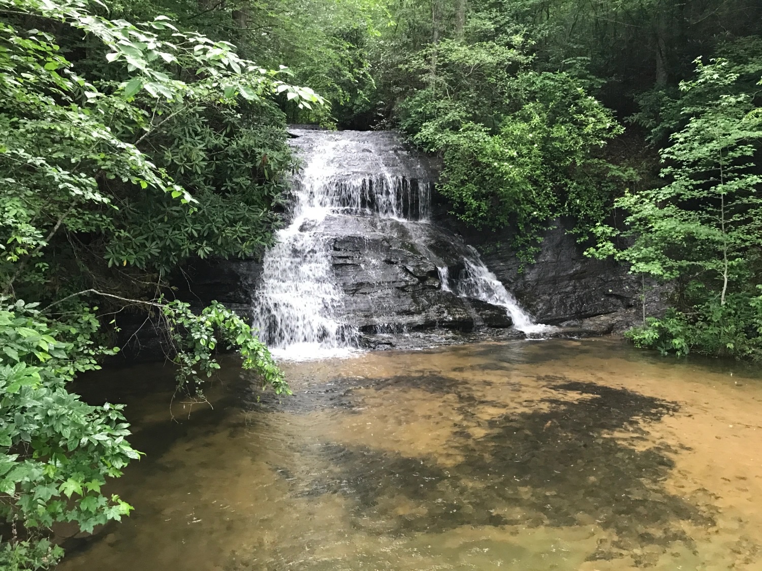 Image of Wayside Wildcat Waterfall