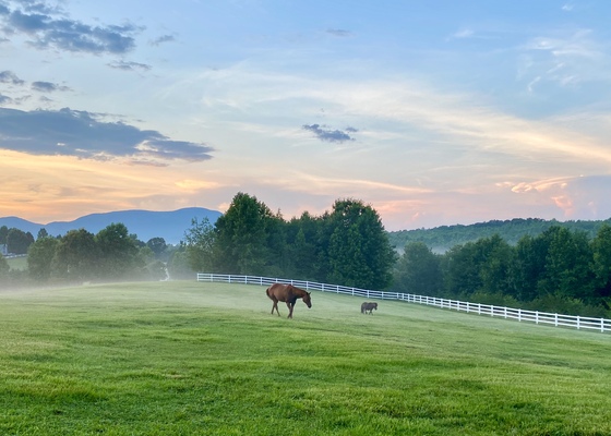 Horse Country Setting