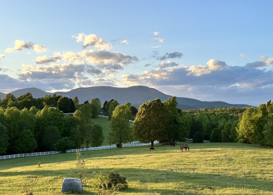 Beautiful Vistas